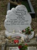 image of grave number 269087